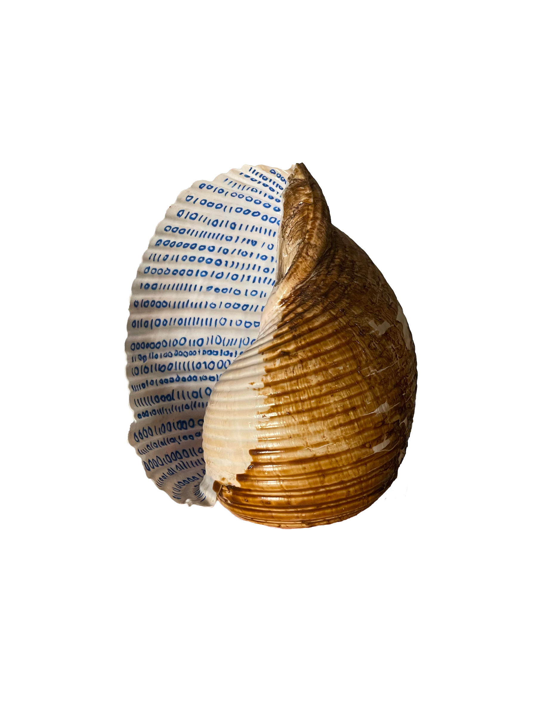 Conch shell with binary digits hand-painted on the interior, encoding a recording of the ocean in Podgora, Croatia